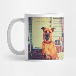 Black mouth cur dog. Mug